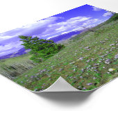 Columbine Hill Poster (Ecke)