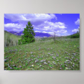 Columbine Hill Poster (Vorne)