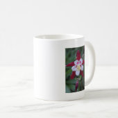 Columbine Kaffeetasse (VorderseiteRechts)