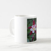 Columbine Kaffeetasse (Vorderseite Links)