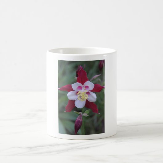 Columbine Kaffeetasse (Mittel)