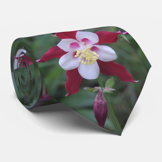 Columbine Krawatte (Gerollt)