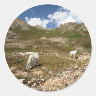 Columbine Lake Mountain Goats - Colorado Runder Aufkleber
