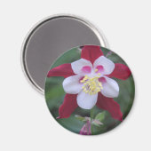 Columbine Magnet (Vorderseite/Rückseite)