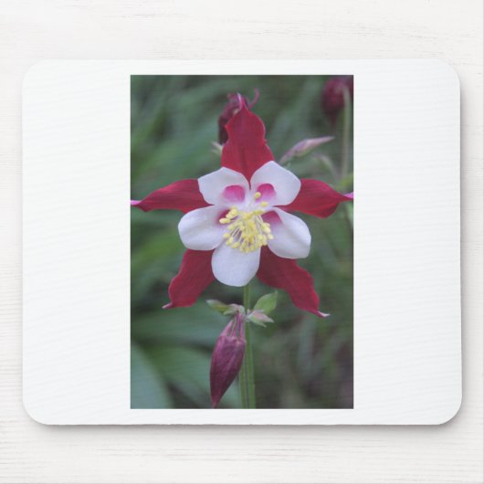 Columbine Mousepad (Vorne)