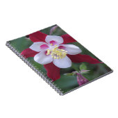 Columbine Notizblock (Rechte Seite)