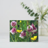 Columbine Postkarte (Stehend Vorderseite)