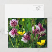 Columbine Postkarte (Vorne/Hinten)