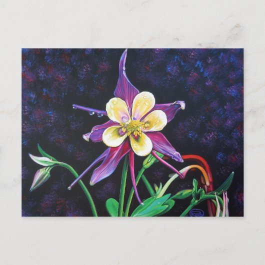 Columbine Postkarte (Vorderseite)