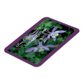 Columbine Rocky Mountain National Park Magnet (Linke Seite)