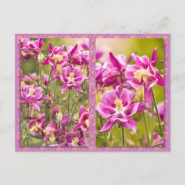 Columbines Diptych Postkarte
