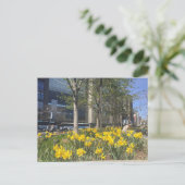 Columbus Circle Daffodis NYC Springtime Postkarte (Stehend Vorderseite)