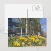 Columbus Circle Daffodis NYC Springtime Postkarte (Vorne/Hinten)