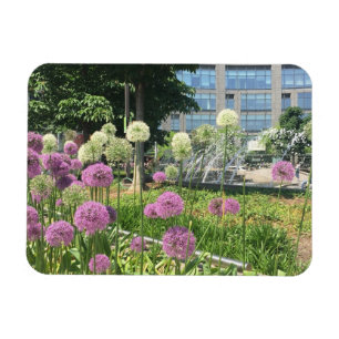 Columbus Circle NYC Allium Fountain Blume Foto Magnet