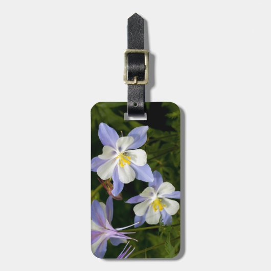 Columbus Cluster Gepäckanhänger (Vorderseite vertikal)