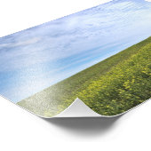 Colza Field - Foto (Ecke)