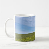 Colza Field - Tasse (Links)