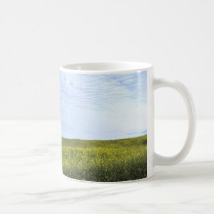 Colza Field - Tasse
