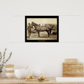 Comanche Poster (Küche)