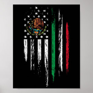Combo Mexico USA Cinco De Ma Poster