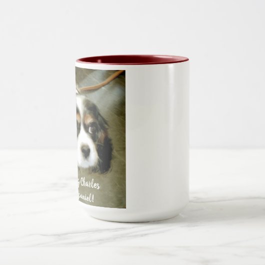 Combo-Tasse! King Charles Spaniel England Tasse (Zentrum)