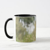 Combo-Tasse Tasse (Links)