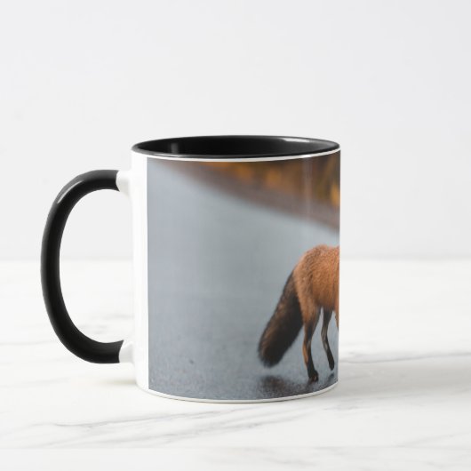 Combo-Tasse Tasse (Links)