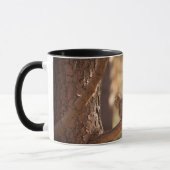Combo-Tasse Tasse (Links)