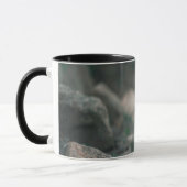 Combo-Tasse Tasse (Links)