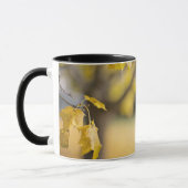 Combo-Tasse Tasse (Links)