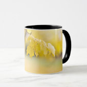 Combo-Tasse Tasse (VorderseiteRechts)
