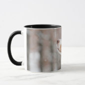 Combo-Tasse Tasse (Links)