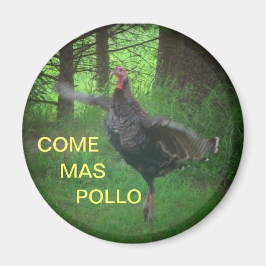 Come Mas Pollo Funny Turkey Magnet (Vorne)