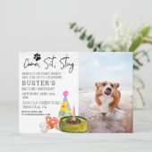Come Sit Bleibe Hund Geburtstag Foto Party Einladung (Stehend Vorderseite)