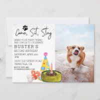Come Sit Bleibe Hund Geburtstag Foto Party