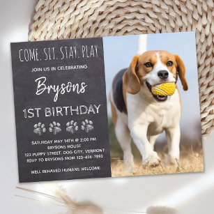 Come Sit Bleibe Play Chalkboard Welpe Hund Geburts Einladungspostkarte