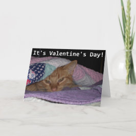 Come Snuggle Cat Valentine Feiertagskarte