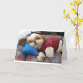 COMEDIC HUND SAGT DAS AM VATER TAG KARTE (Gelbe Blume)