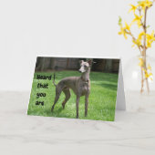 COMEDIC IRISH GREYHOUND GLÜCKLICH "60. GEBURTSTAG" KARTE (Gelbe Blume)