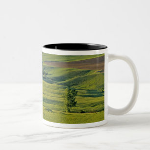 Comertown-Kies-Straße in abgelegenen nordöstlich Zweifarbige Tasse
