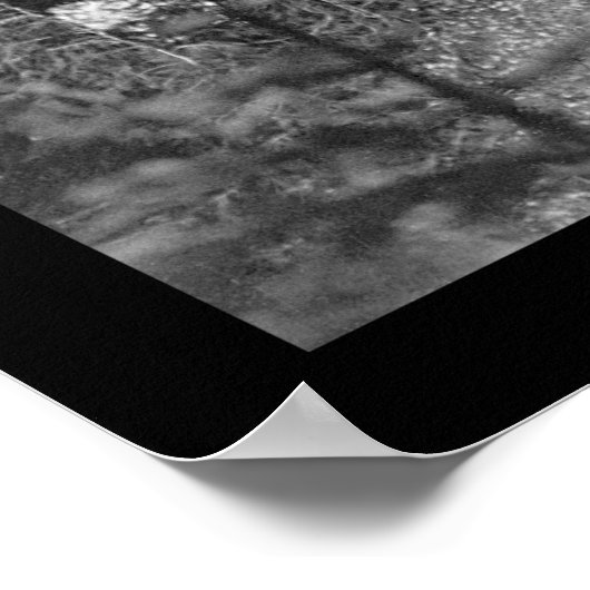 Comet Falls, Mount Rainier, WA 1922 Poster (Ecke)