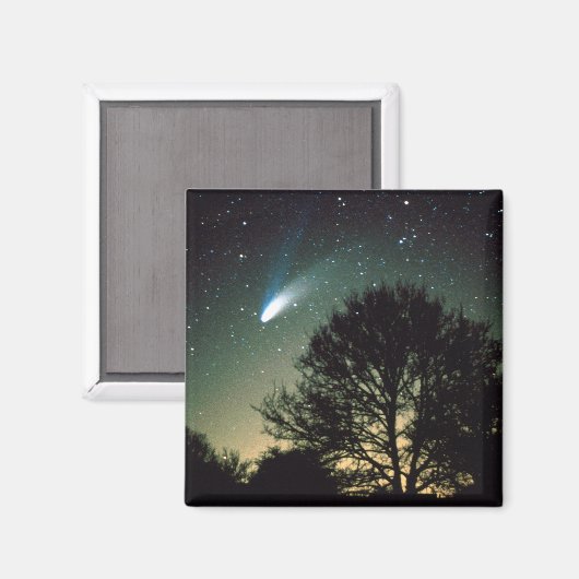 Comet Hale-Bopp und Tree Magnet (Vorderseite/Rückseite)