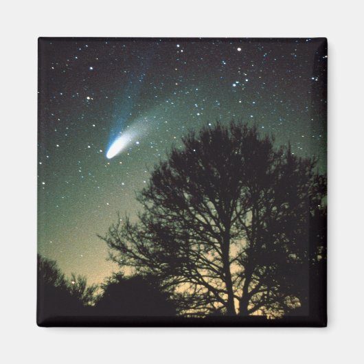 Comet Hale-Bopp und Tree Magnet (Vorne)