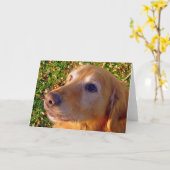 Comet, setz dich, bleibe Guten Jungen! Karte (Gelbe Blume)