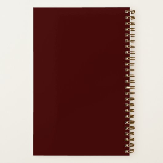 Comets Collide Orange Cosmic Space Notizblock (Rückseite)