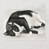 "Comfortable Tuxedo Cat" Art Postkarten (Vorderseite)