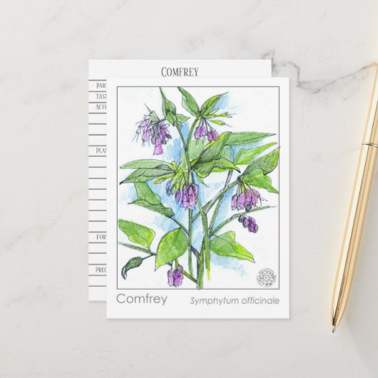 Comfrey Materia Medica Pflanze Card Postkarte (Vorderseite/Rückseite Beispiel)