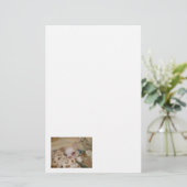 Comfy Chihuahua Stationery Briefpapier (Stehend Vorderseite)