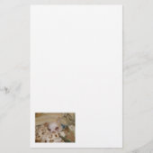 Comfy Chihuahua Stationery Briefpapier (Vorderseite)