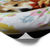Comfy Corgi Poster (Ecke)
